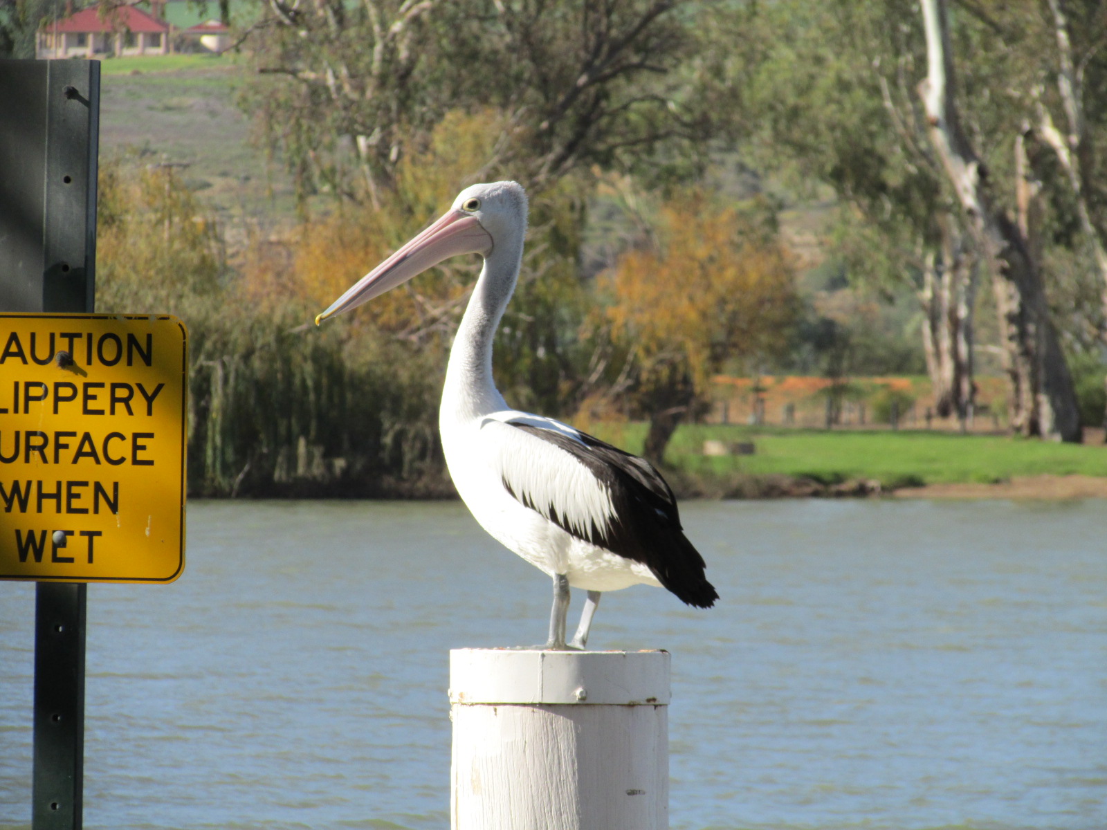 Walker Flat Cheryl Adnams